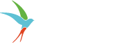 Proion